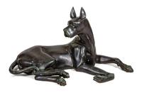 A Large Bronze Great Dane Sculpture Height 25 x width 47 x depth 22 inches.