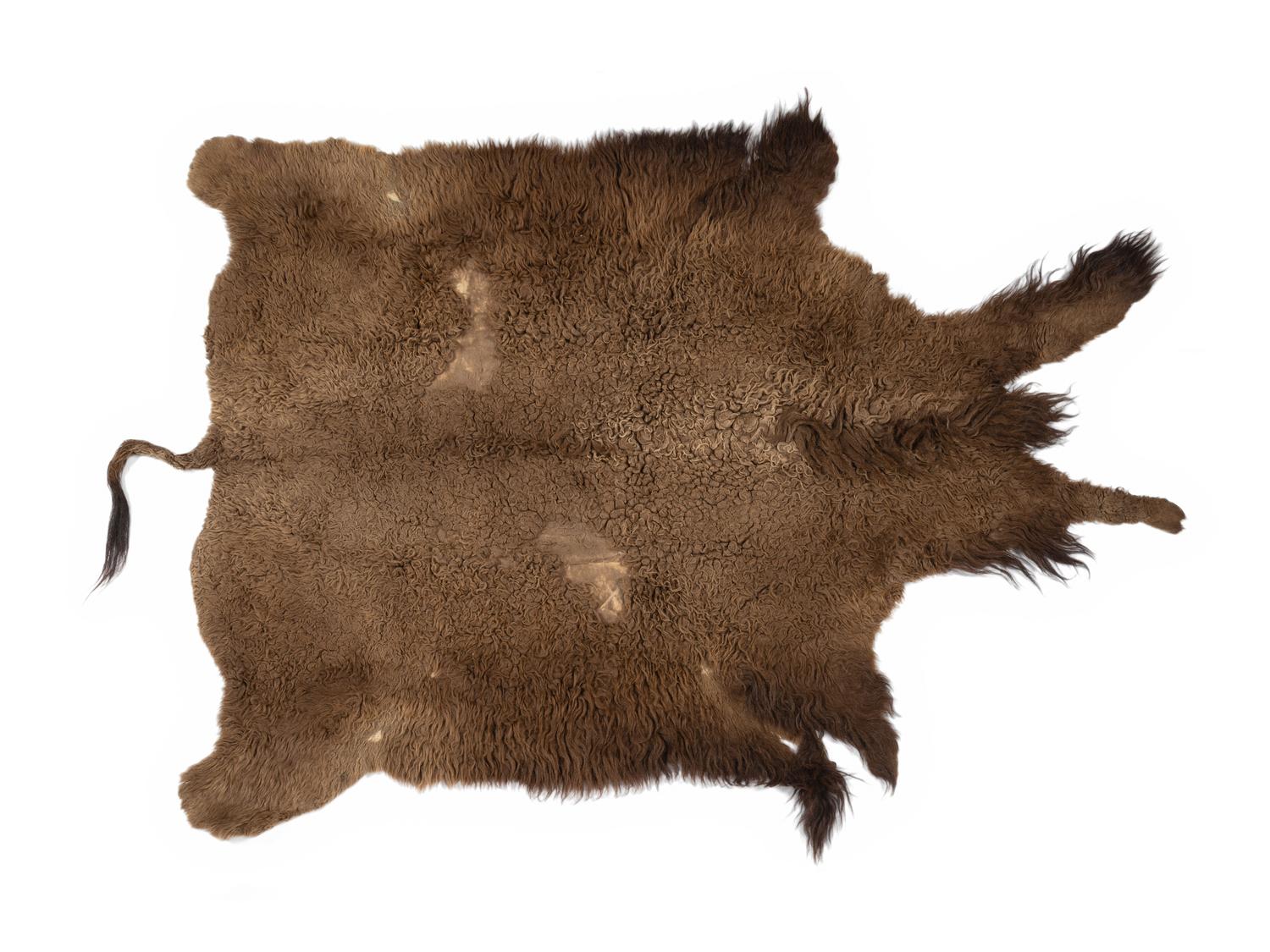 Ojibwa Painted Buffalo Robe