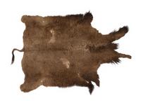 Ojibwa Painted Buffalo Robe