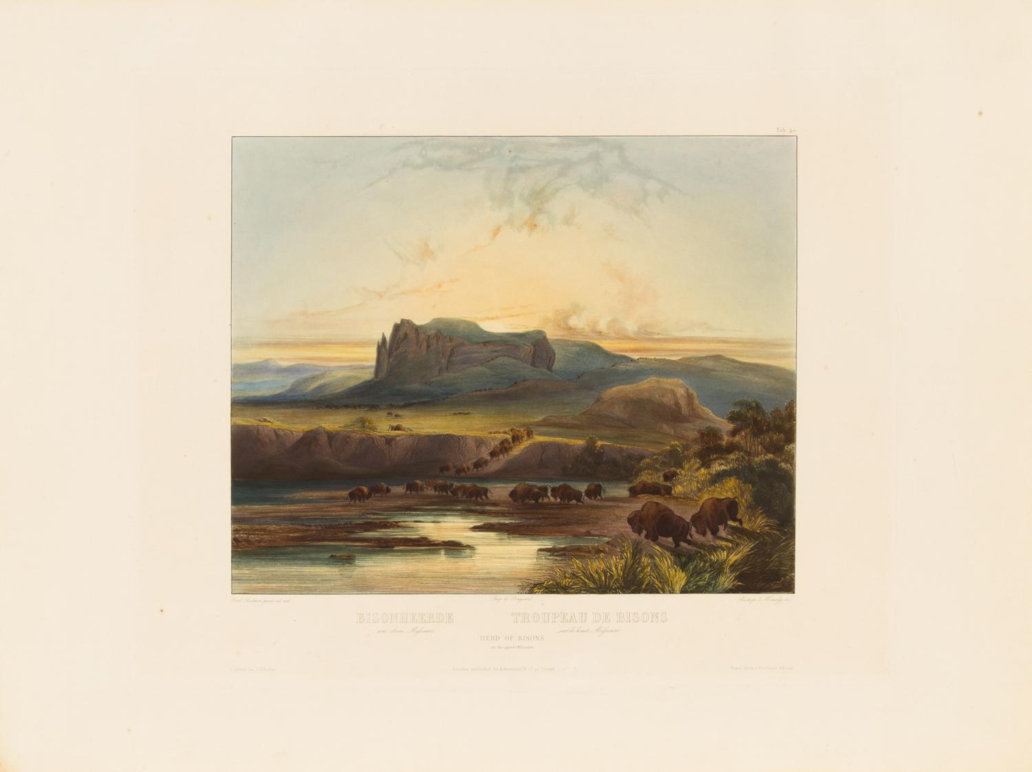 BODMER, Karl (1809-1893) Herd of Bisons