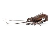 A Japanese Bronze Articulated Okimono of an Ebi (Spiny Lobster)