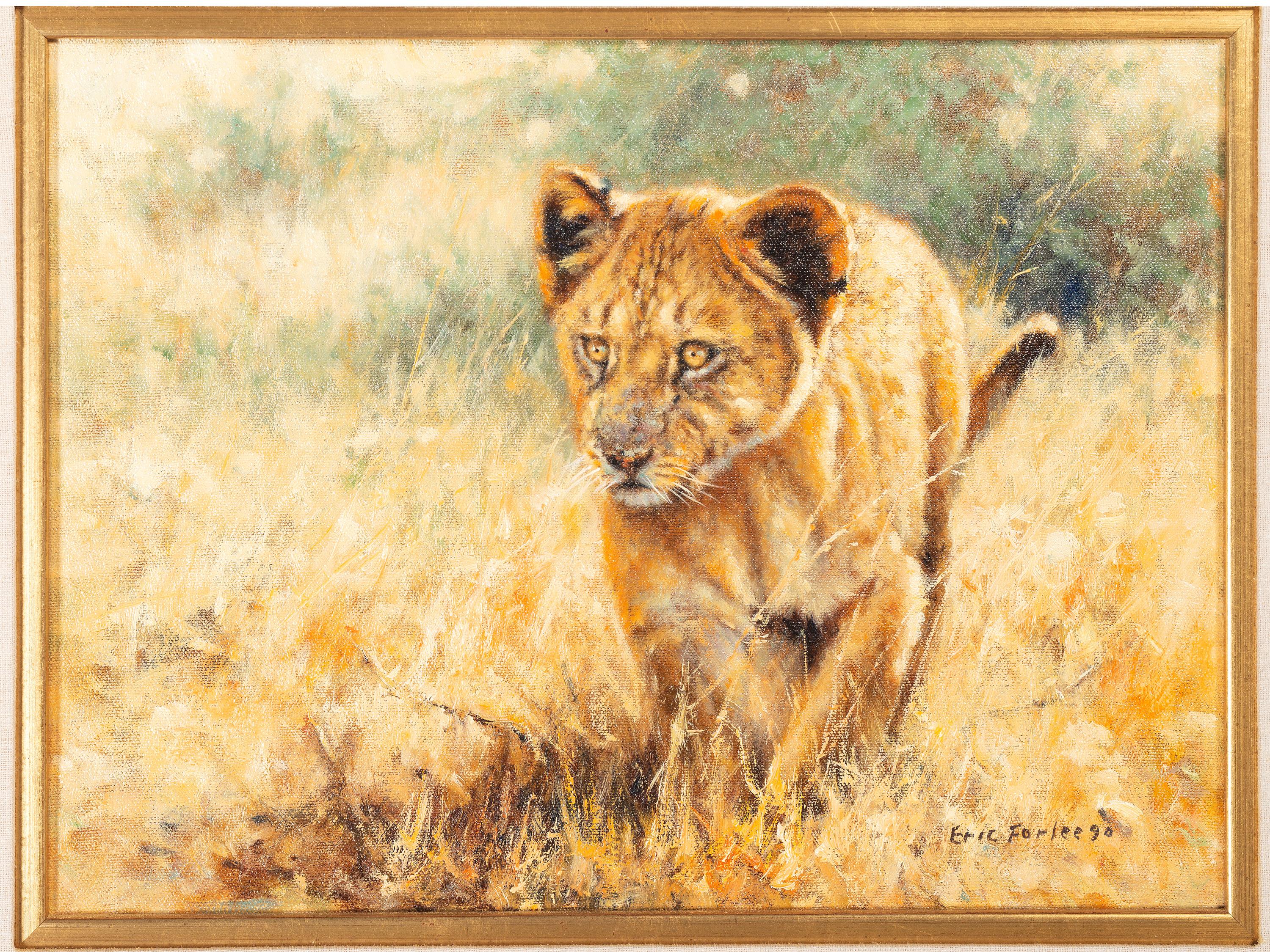 Lion Cub