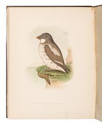[TRAVEL & EXPLORATION - POLAR]. A group of 6 works about the Jeannette Expedition, including: