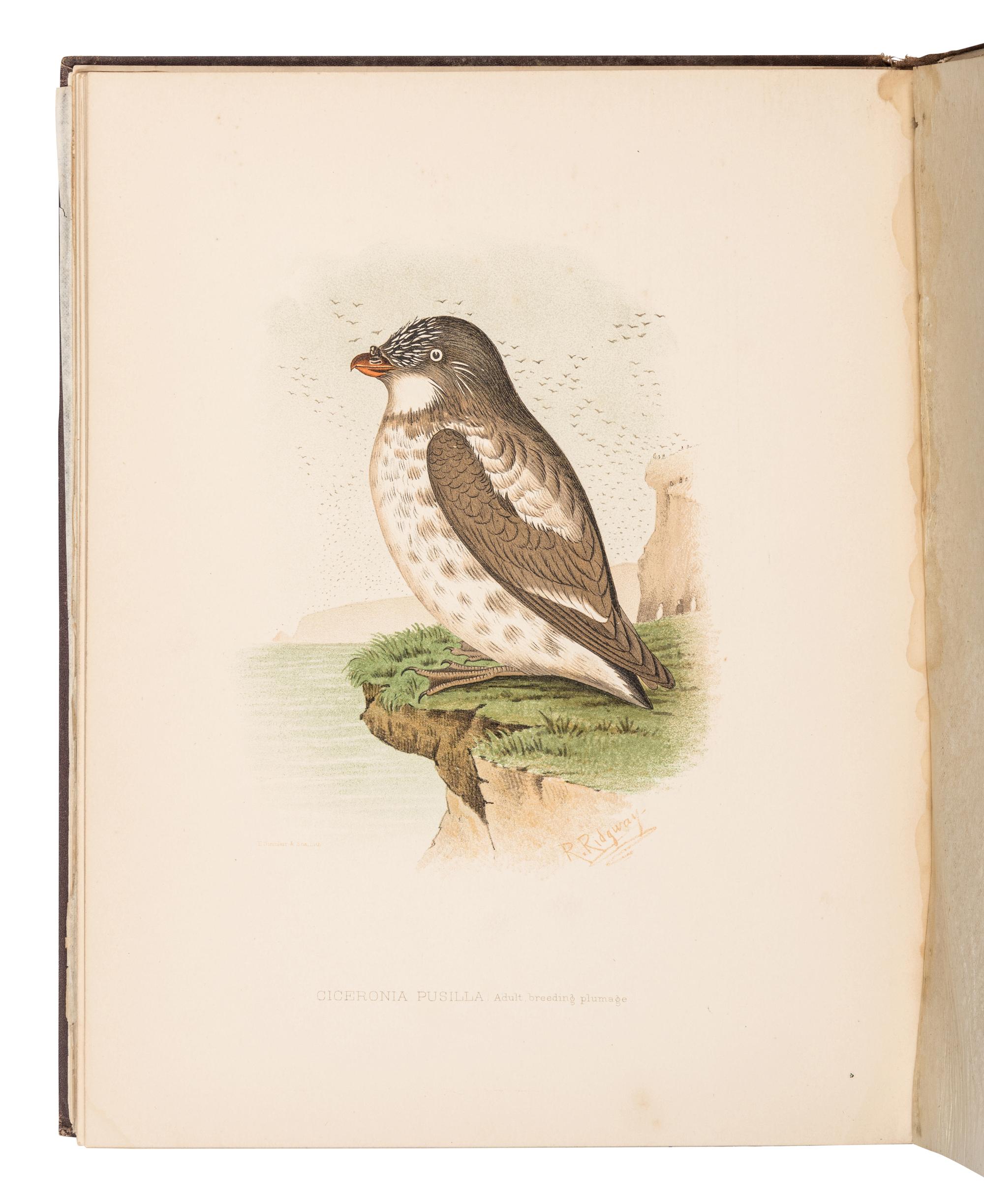 [TRAVEL & EXPLORATION - POLAR]. A group of 6 works about the Jeannette Expedition, including: