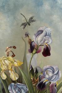 Artist Unknown, Late 19th Century