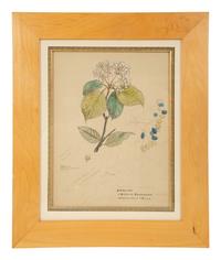 Eighteen Botanical Watercolors