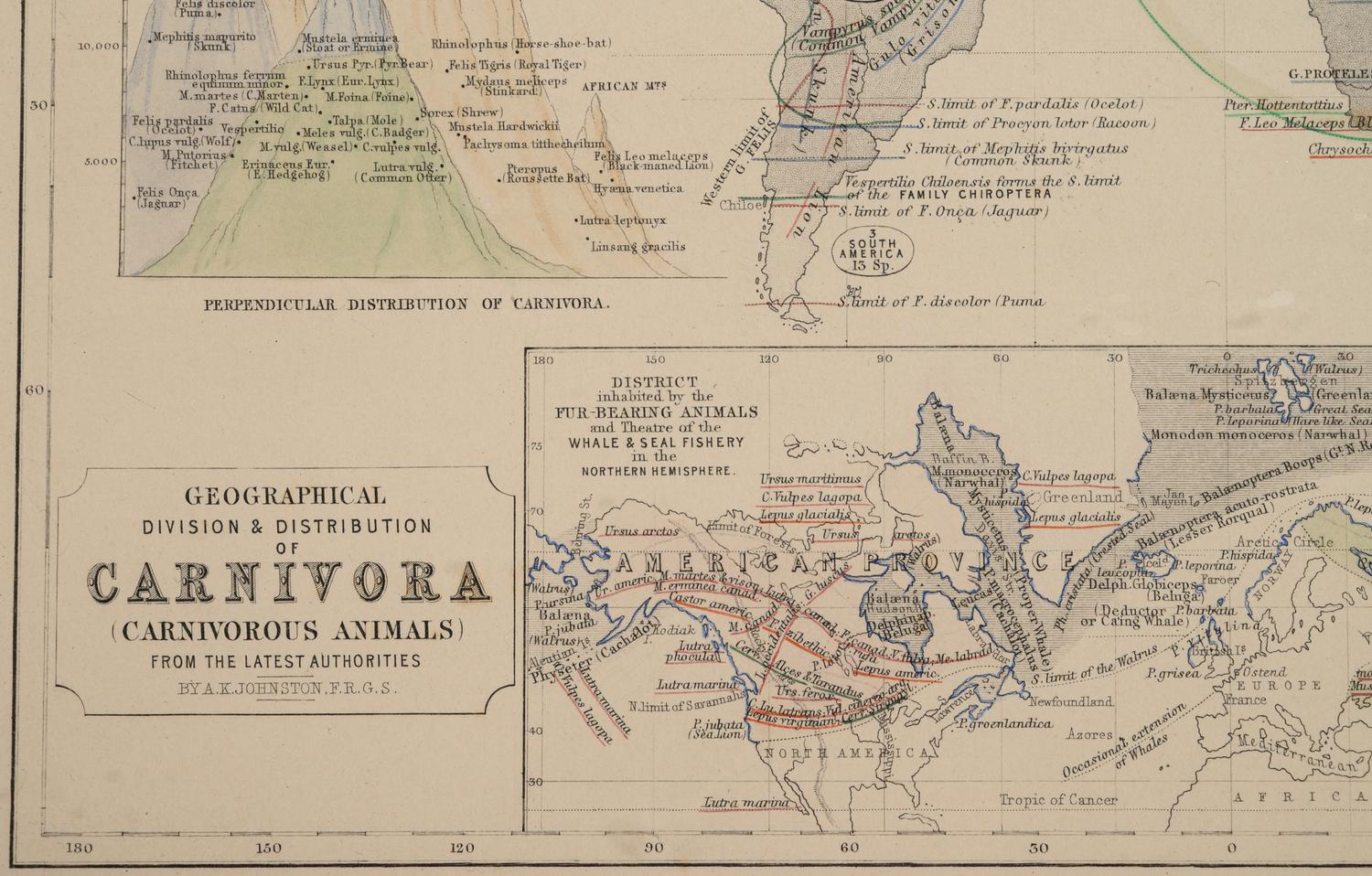 A Group of 11 19th and 20th century maps, comprising: