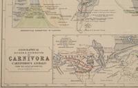 A Group of 11 19th and 20th century maps, comprising: