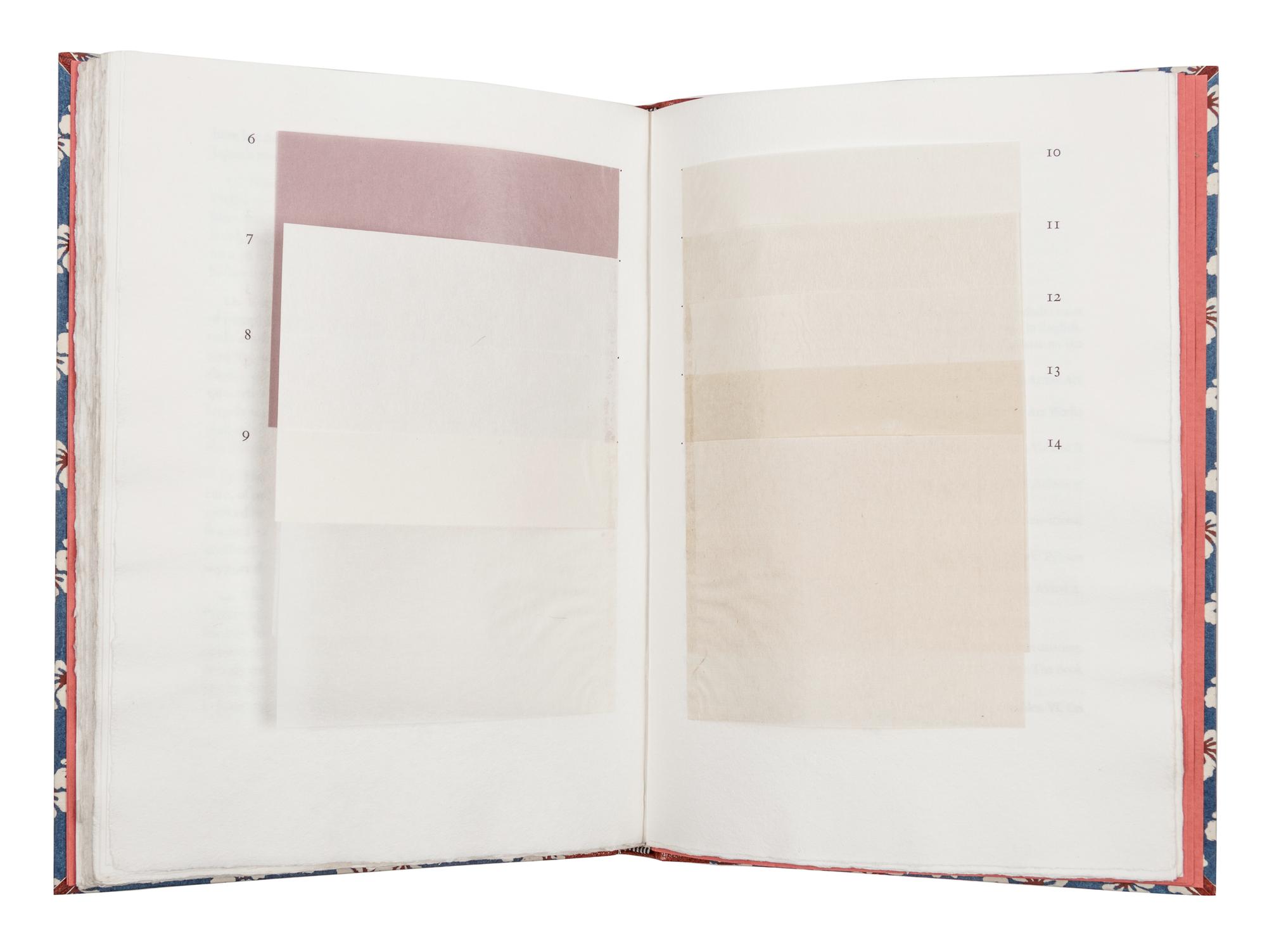[BIRD & BULL PRESS]. BARRETT, Timothy. Nagashizuki: the Japanese Craft of Hand Papermaking . North Hills PA: Bird & Bull Press, 1979.