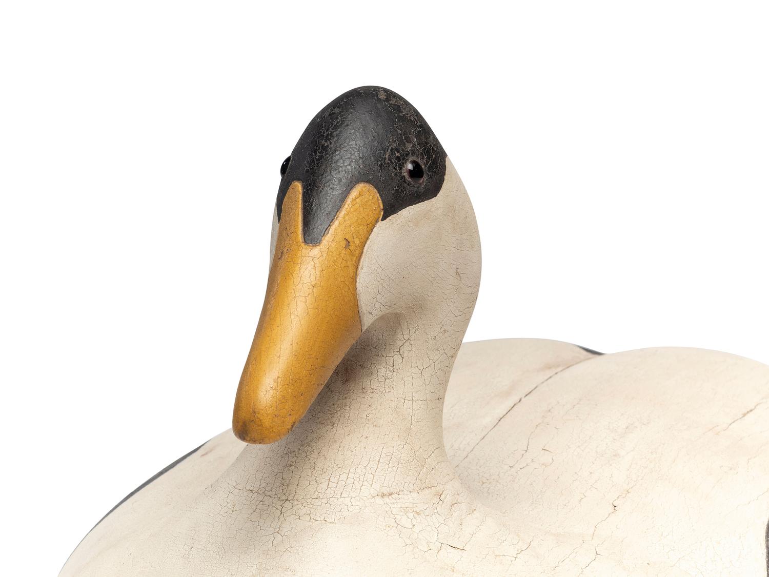 An Oversized Carved and Painted Wood Common Eider Male Decoy