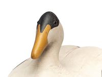 An Oversized Carved and Painted Wood Common Eider Male Decoy