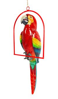 Red Macaw