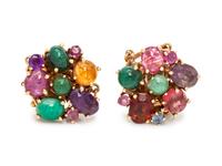 MULTIGEM CLASP SET