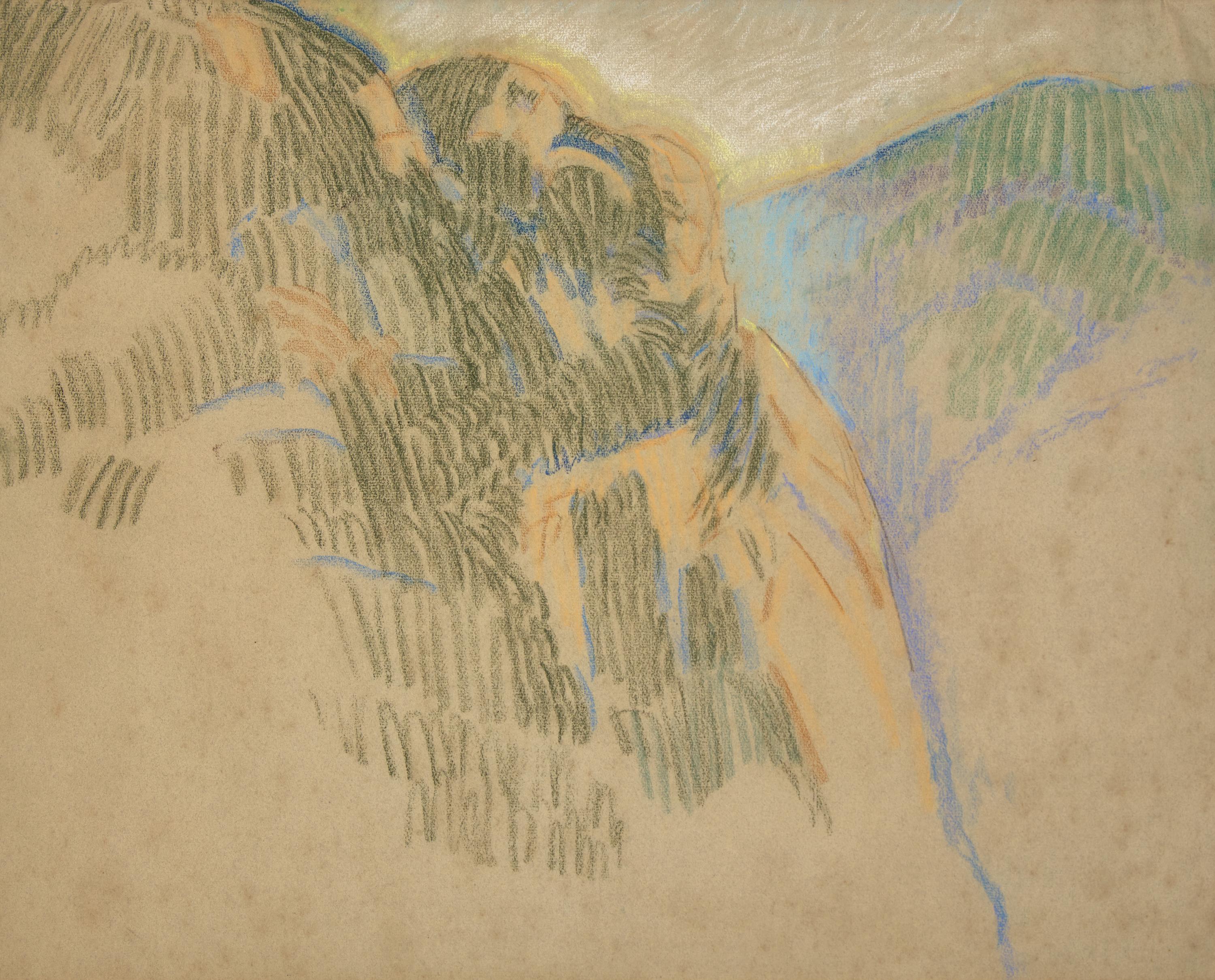 Hillside Study