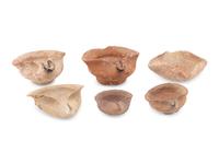 Six 'Shell Type' Terracotta Oil Lamps