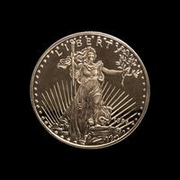 [PRIVATE ISSUE] Two 1/2-Pound Gold-Plated Silver Rounds