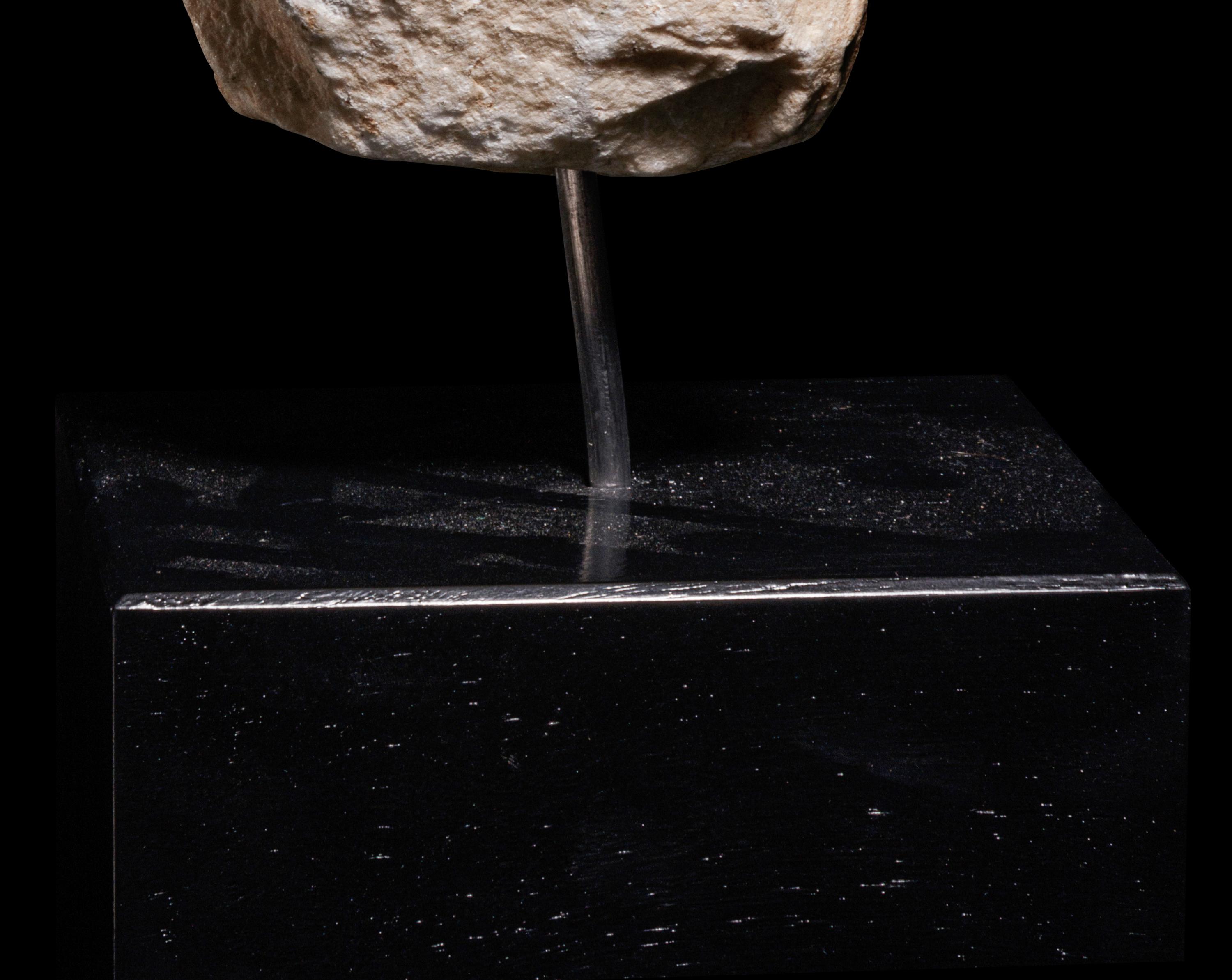 A Roman Marble Head of a Man