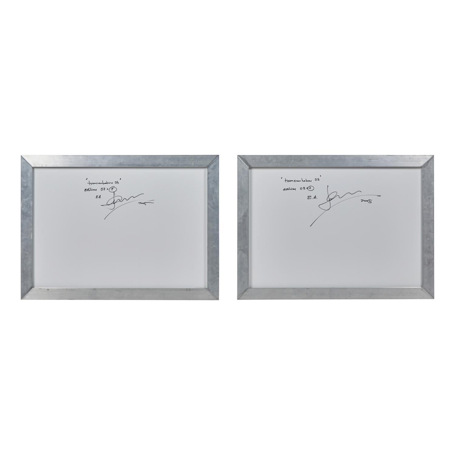 Hans Kotter (German, b. 1966) — Transmutation 02 and Transmutation 03 (diptych) , 2005