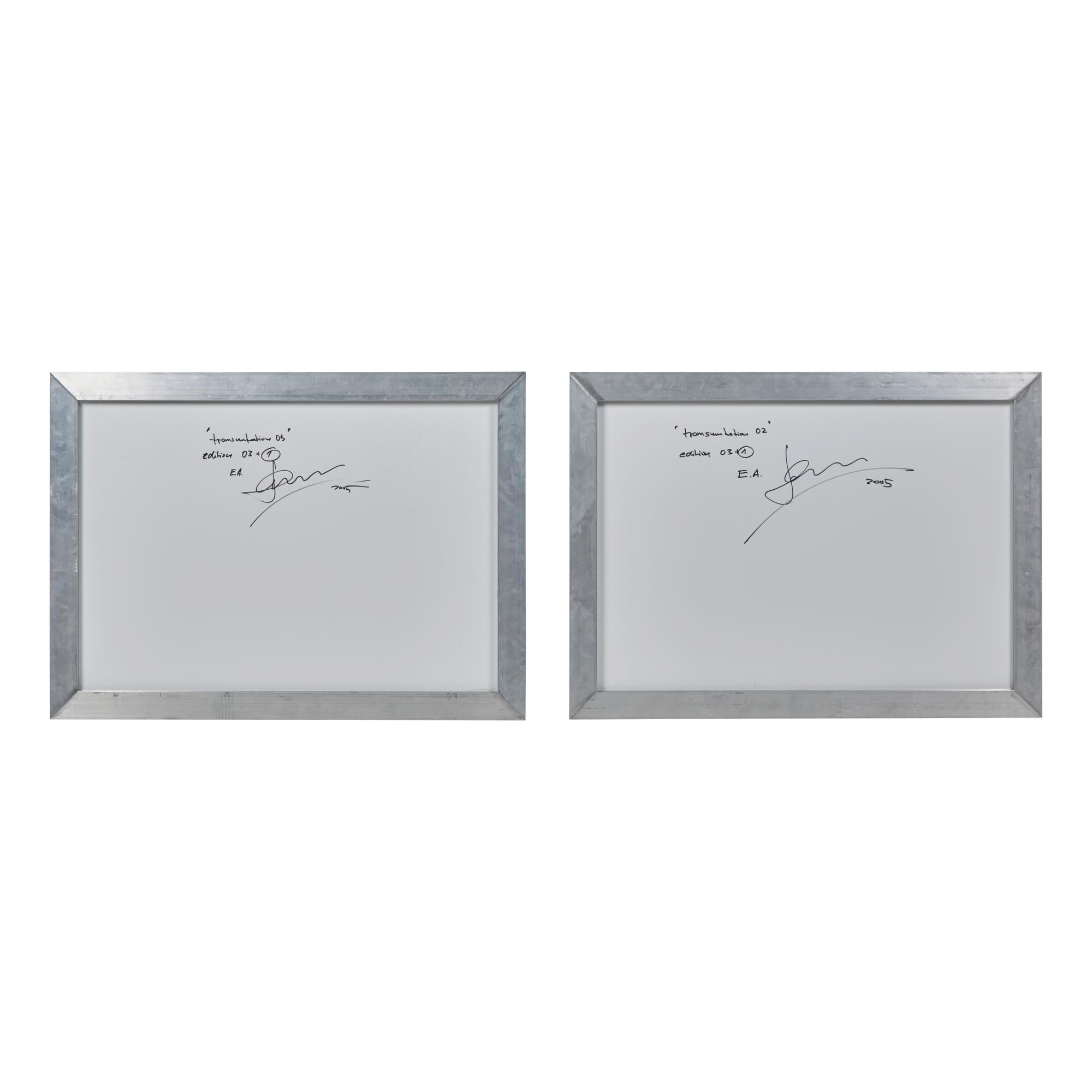 Hans Kotter (German, b. 1966) — Transmutation 02 and Transmutation 03 (diptych) , 2005