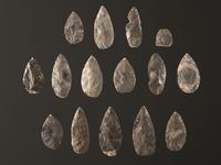 A Cache of Hornstone Blades