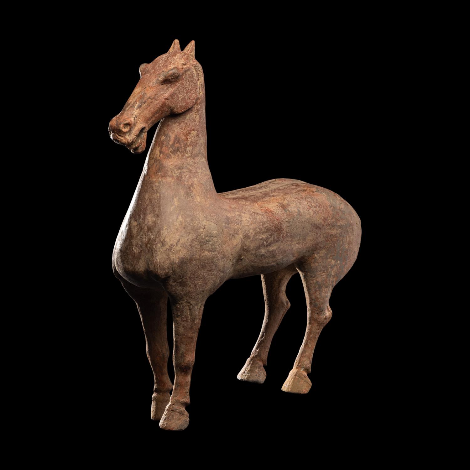 A Han Dynasty Horse