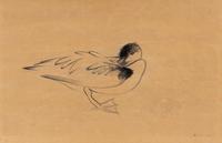 Preening Duck , 1953