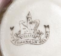 A Belleek Victoria Tea Service, Width of tray 17 inches.