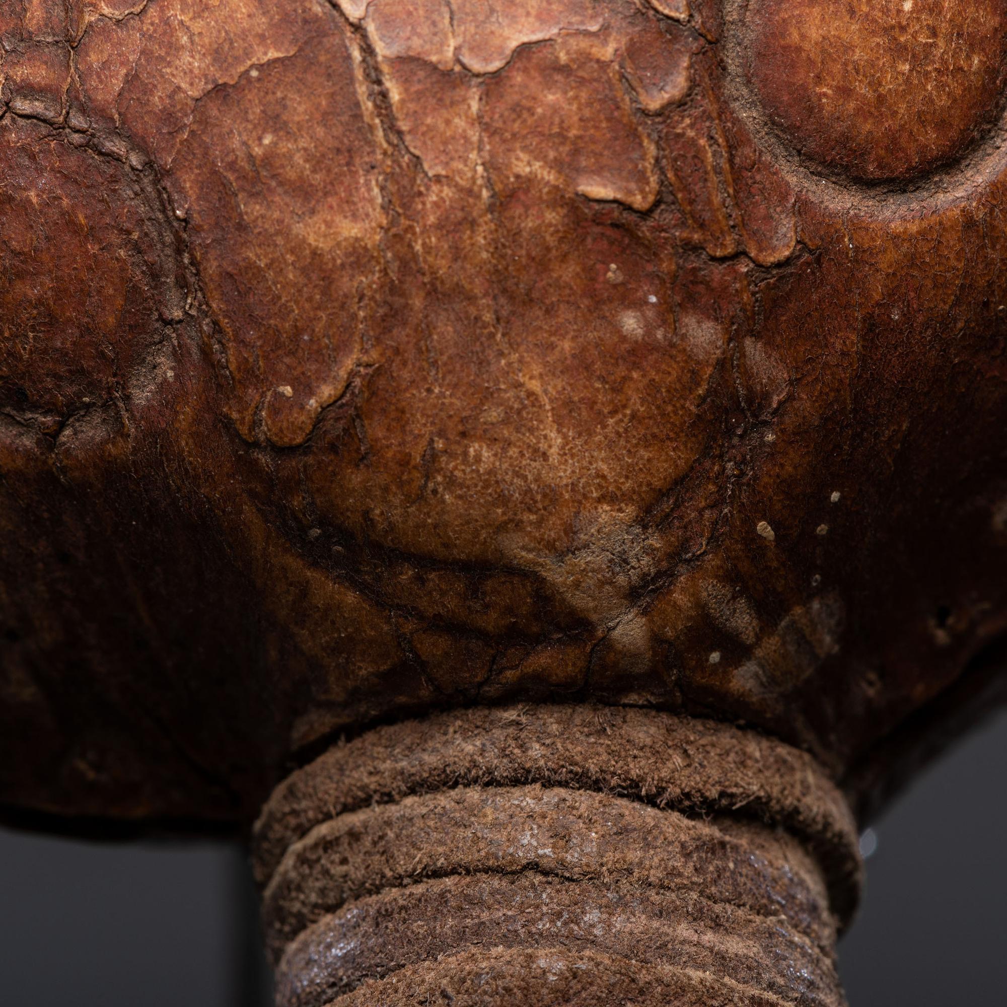 Apsáalooke Hide Rattle, From the Collection of Dick Jemison, Alabama