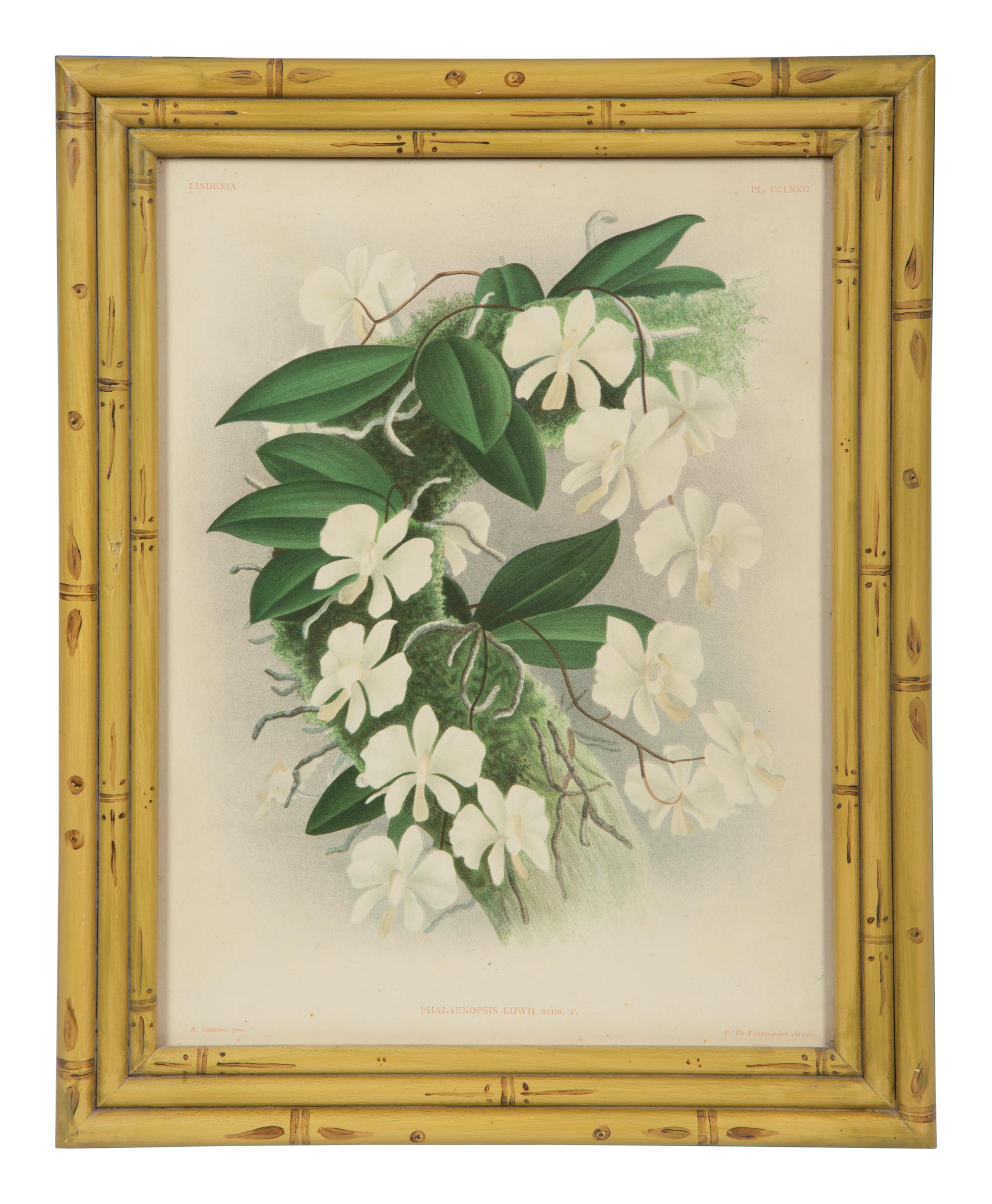 A Set of Twelve Framed Botanical Lithographs