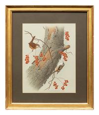 Group of Nine Works, American Bird Series, 1988