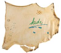 Hide