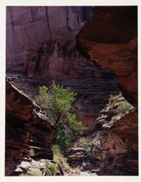 Glen Canyon (complete portfolio of 10)