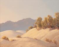 Sand Dune Contrasts