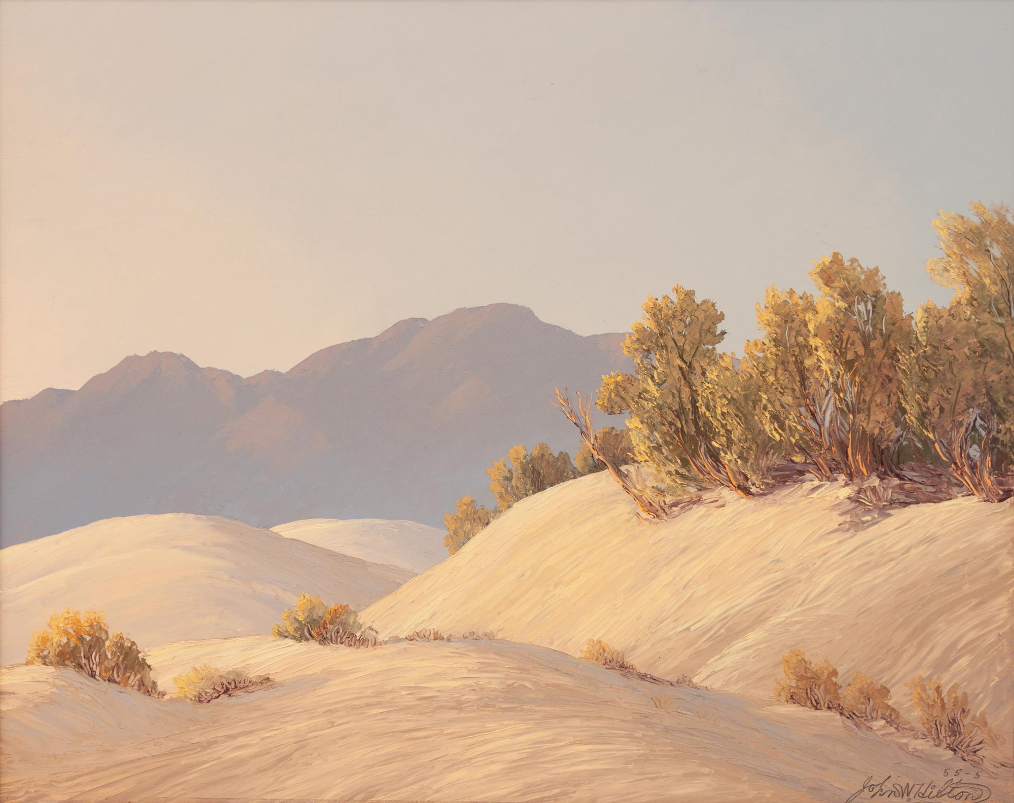 Sand Dune Contrasts