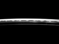 A Wakizashi