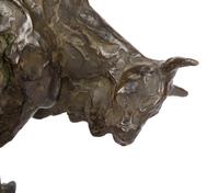 Bull Study