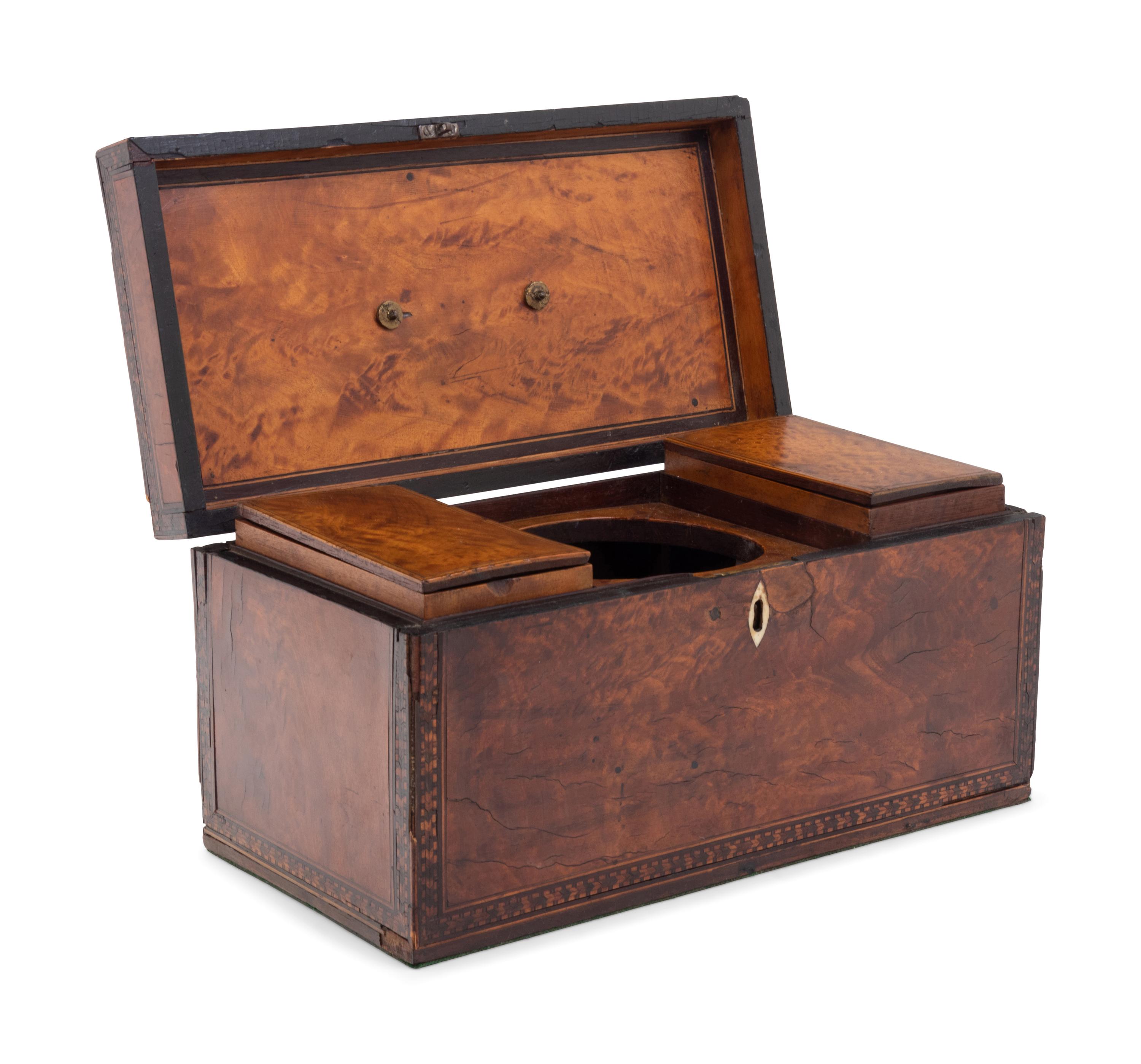A Regency Mahogany and Marquetry Decorated Tea Caddy