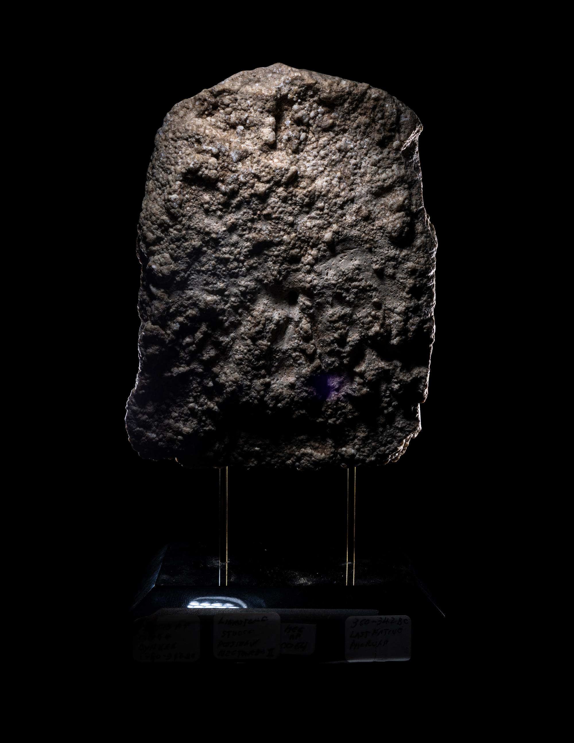 An Egyptian Plaster Sculptor's Model of a Pharaoh