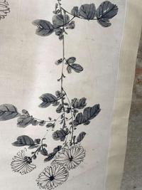 Chen Zun 陈遵 菊图 (Chinese)