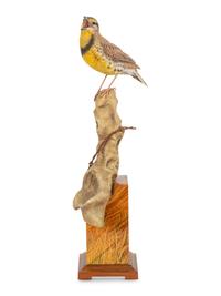 Western Meadowlark , 2004