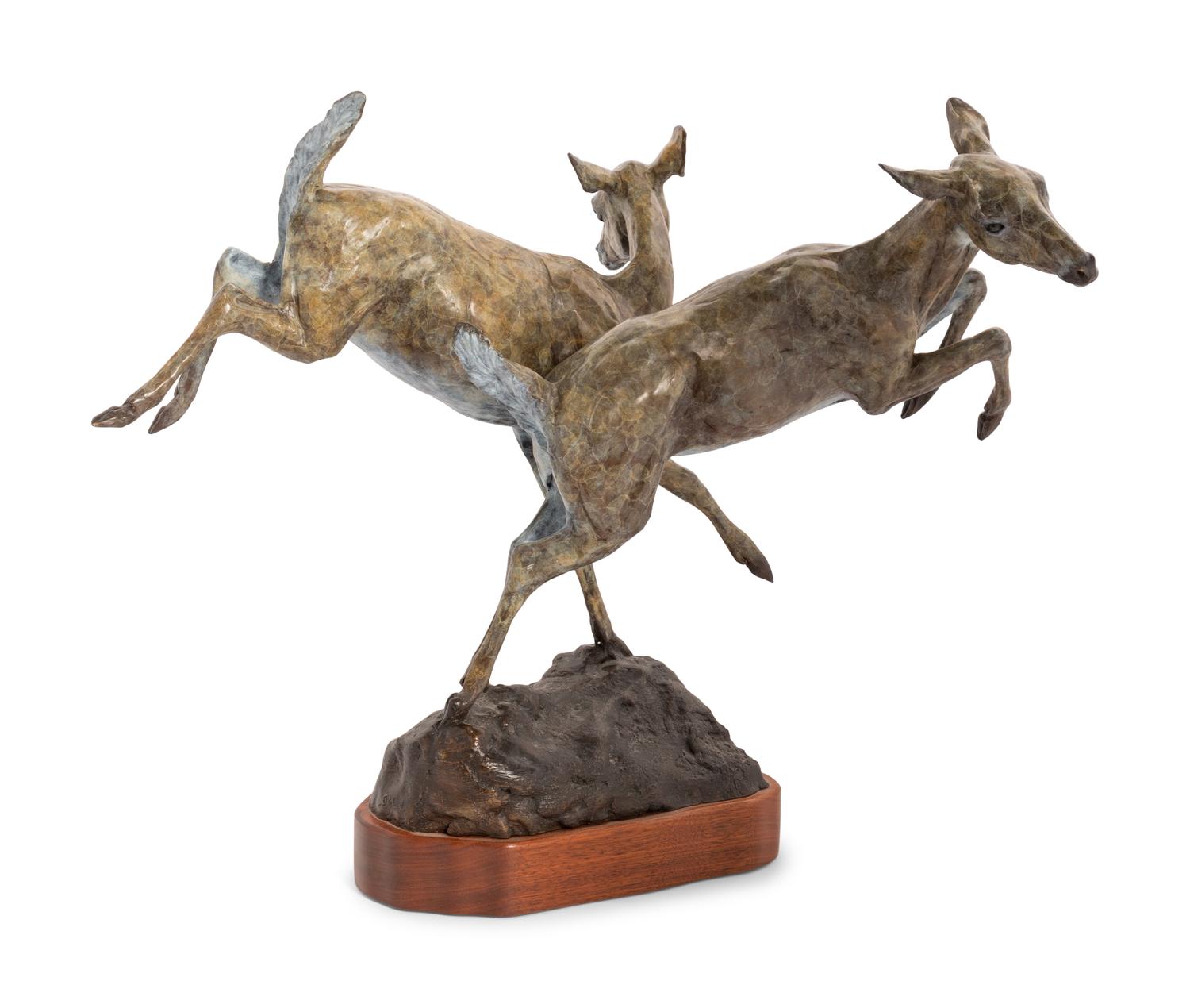 Mule Deer , edition 6/20