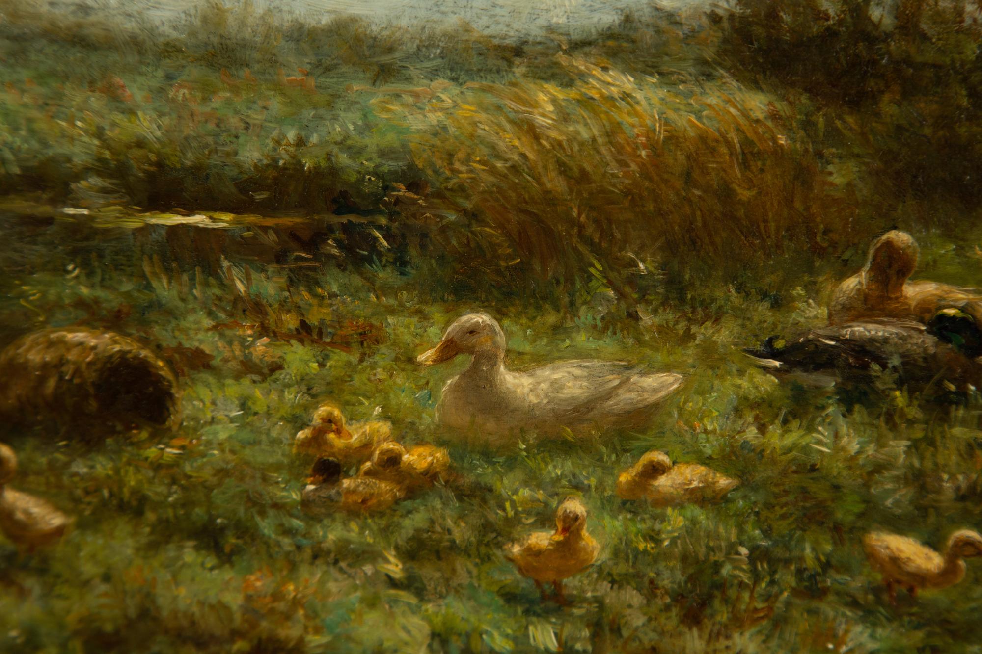 Ducks by a Pond