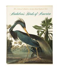 Audubon's Birds of America, by Roger Torey Peterson Baby Elephant Folio Abbeville Press, 1990 Revised Edition