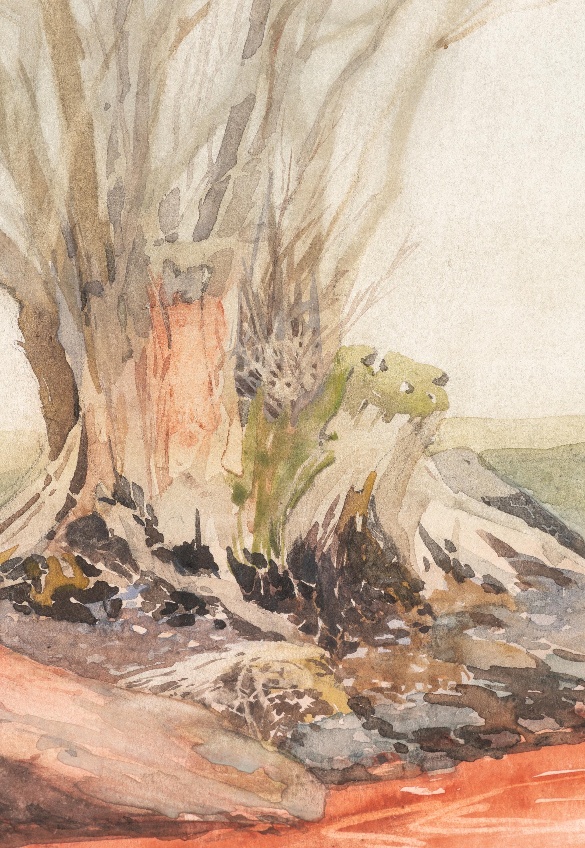 Tree Stumps