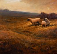 Sheep in a Grassy Field