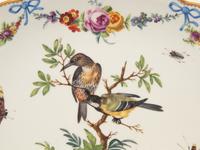 A Meissen Porcelain Ornithological Platter