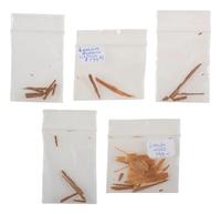 [LINCOLN, Abraham (1809-1865)]. Lincoln relics incl. strands of hair, wallpaper, and wood fragments.