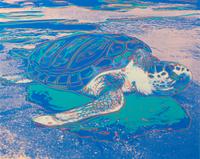Andy Warhol, (American, 1928-1987), Turtle, 1985
