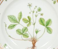 Thirteen Royal Copenhagen Flora Danica Porcelain Dinner Plates
