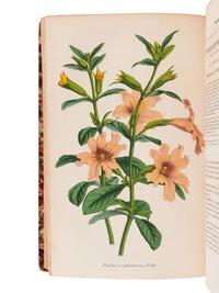 LEMAIRE, Charles (1800-1871). Le Jardin Fleuriste, journal général des progrès et des intérèts horticoles et botaniques . Ghent: F. & E. Gyselinck, 1851-1854.